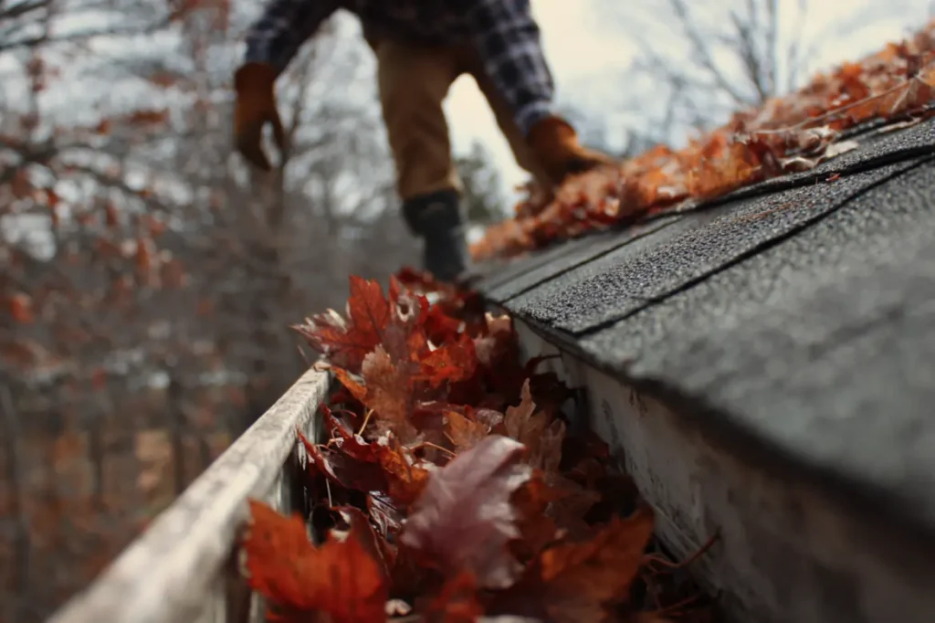 roof maintenance